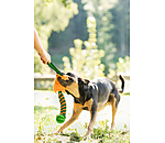 Dog Tug Toy Agi