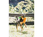 Dog Tug Toy Agi