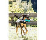 Teeth Cleaning Dog Toy Anny
