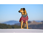 Softshell Coat with Fleece Collar Frida