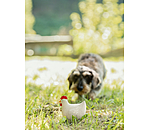Squeaky Toy Chicken for Dogs