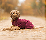 Liner and Fleece Coat Lino