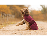Liner and Fleece Coat Lino
