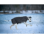 Liner and Fleece Coat Lino
