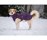 Winter Dog Coat Marlon, 200-300g