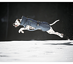 Winter Dog Coat Marlon, 200-300g