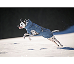 Winter Dog Coat Marlon, 200-300g
