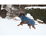 Winter Dog Coat Marlon, 200-300g