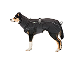Winter Dog Coat Marlon, 200-300g