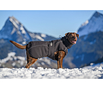 Winter Dog Coat Marlon, 200-300g