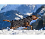 Winter Dog Coat Marlon, 200-300g