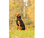 Winter Dog Coat Marlon, 200-300g