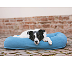 Dog Bed Terry