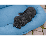 Dog Bed Terry
