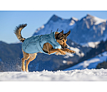 Winter Dog Coat Wonderland, 140g
