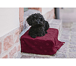 Fleece Blanket Charly