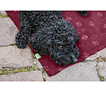 Fleece Blanket Charly