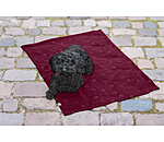 Fleece Blanket Charly
