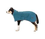Dog Raincoat Winter Islands, 160g