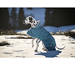 Dog Raincoat Winter Islands, 160g