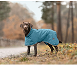 Dog Raincoat Winter Islands, 160g