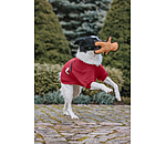Dog Toy Gingerbread Man
