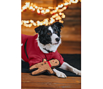 Dog Toy Gingerbread Man