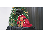 Dog Toy Gingerbread Man