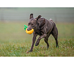 Dog Toy Pineapple