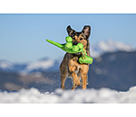 Dog Toy Strong Dino