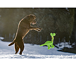 Dog Toy Strong Dino