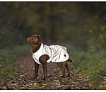 Hi-Vis Coat with Fleece Lining Stay Safe