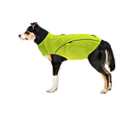 Hi-Vis Dog Vest