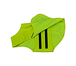 Hi-Vis Dog Vest