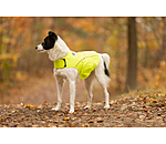 Hi-Vis Dog Vest