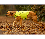 Hi-Vis Dog Vest