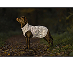 Hi-Vis Reflective Dog Raincoat To Go