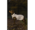 Hi-Vis Reflective Dog Raincoat To Go