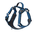 Dog Harness Comfort Fit