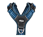 Dog Harness Comfort Fit