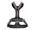 Dog Harness Comfort Fit
