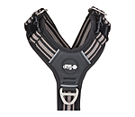 Dog Harness Comfort Fit