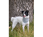 Cooling Scarf Frostie