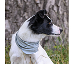 Cooling Scarf Frostie