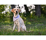 Cooling Scarf Frostie