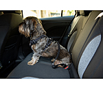 Seatbelt for Dogs