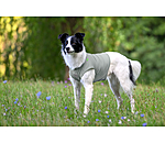 Cooling Shirt Frostie