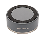 Stainless Steel Bowl