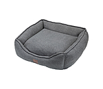 Dog Bed Square