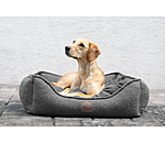 Dog Bed Square